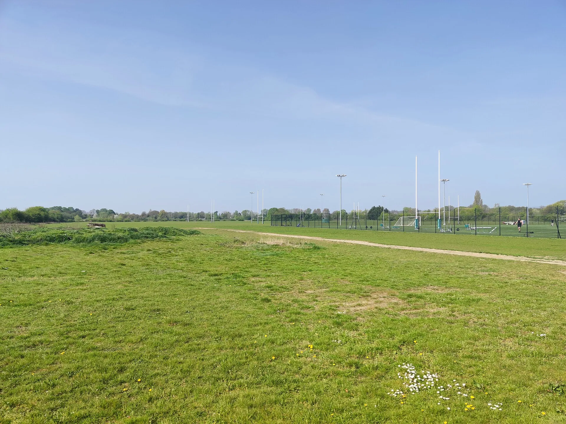 Empty rugby pitches and posts at a club ground on a bright day